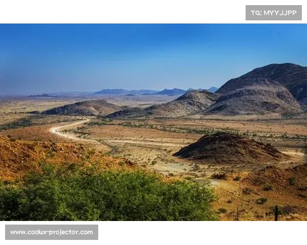 如何在非洲荒原中生存并应对《生化危机5》中的极限冒险挑战