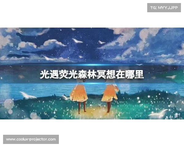 七大理由带你走进荧光森林冥想之旅，感受心灵深处的宁静与疗愈