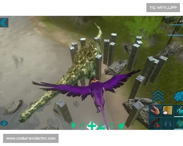 驯服狮鹫的关键训练步骤与技巧全解析