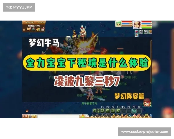 梦幻西游宝宝练级地点选择指南与最佳策略解析