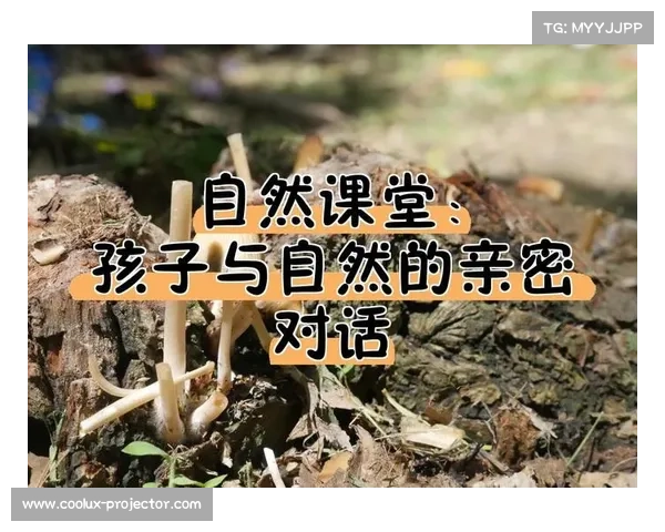 与自然深度对话的神秘旅程探索人与环境和谐共生的奥秘