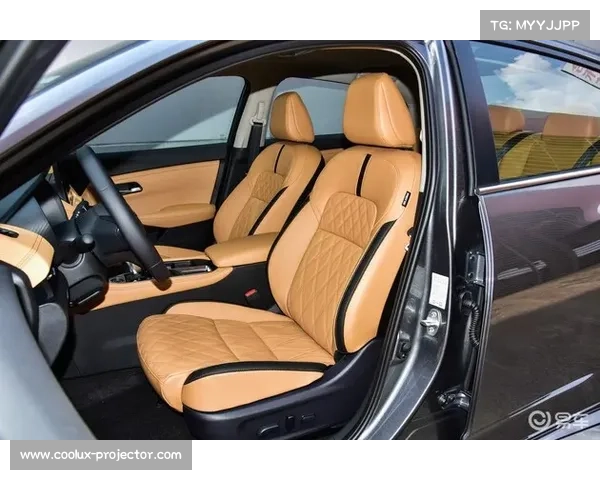 从英超冠军到沙特联赛巨星：马赫雷斯职业选择背后的深层原因分析